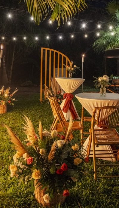 Jungle-Ocean-Riviera-Paradise-3